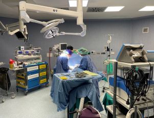 Genova, al San Martino protesi al seno "salvate" anche in caso di infezione