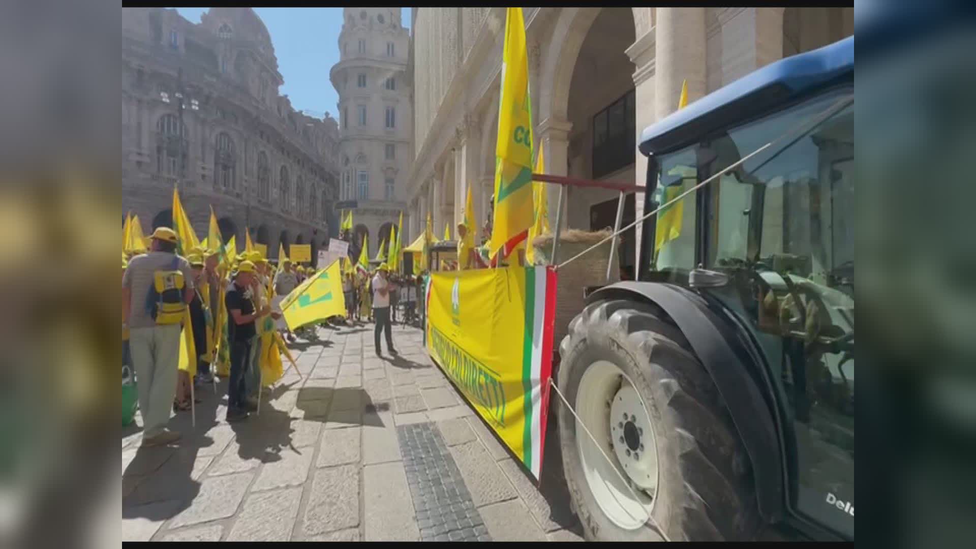 Genova, Coldiretti: "Noi seminiamo e i cinghiali raccolgono"