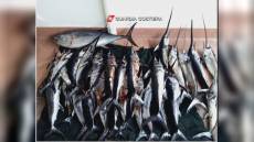 La Spezia, Guardia Costiera sequestra 500 kg di pesce a Cremona