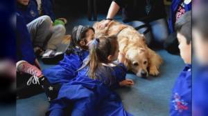 Liguria, "A scuola con gli animali" : nuovo progetto di zooantropologia didattica