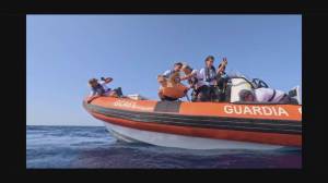 Genova, torna in mare la tartaruga rinvenuta a largo di Varazze a fine giugno