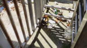 "Ferraris", l'assessore Bianchi: "Nessuna proposta da Genoa e Samp, c'è un contenzioso sulle morosità"