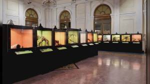 Genova: dal 25 luglio la mostra "Serpenti" arriva al museo di storia naturale "Doria"