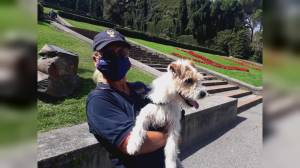 Genova: il cane antidroga Leone fiuta 11 kg di hashish, un arresto