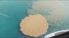 Genova, sversamento liquami a Quinto: divieto balneazione per 3 km, Procura apre inchiesta