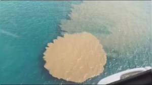 Genova, sversamento liquami: in corso indagini per inquinamento