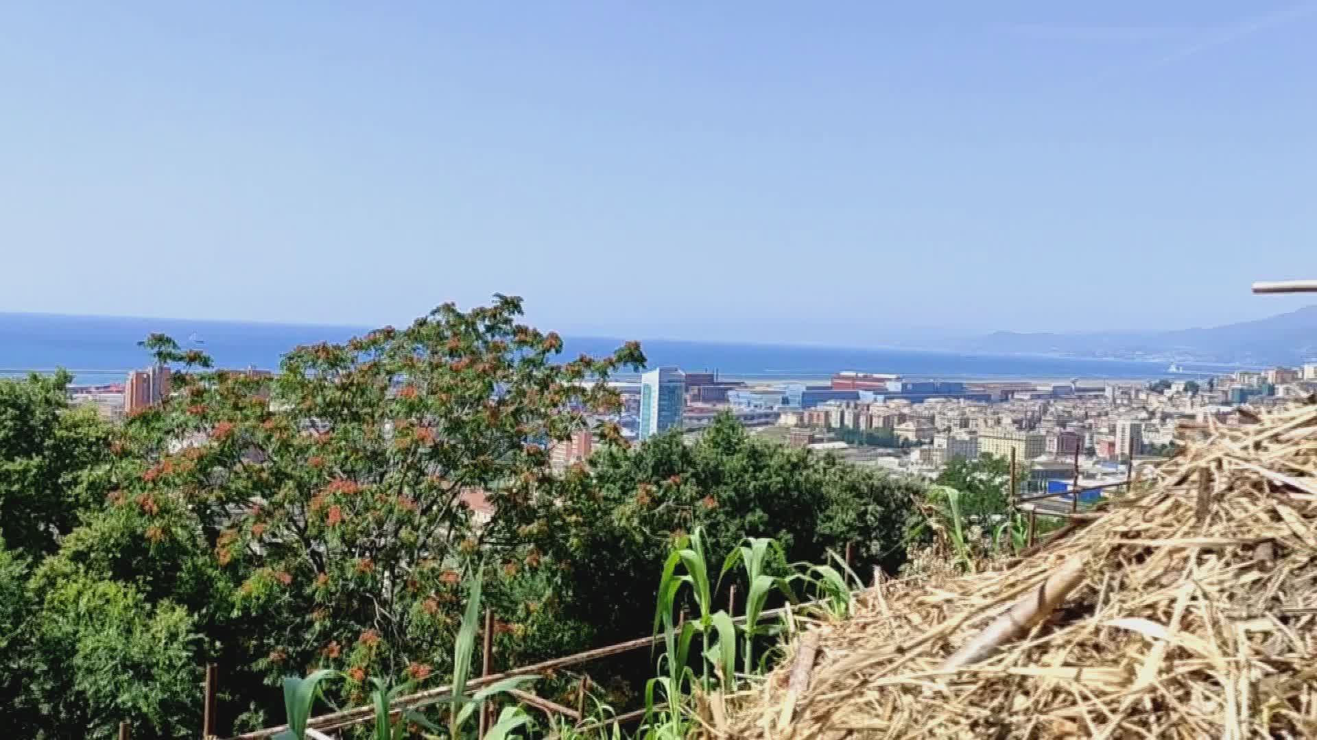 Genova, entro luglio 2025 la riqualificazione di Forte Belvedere a Sampierdarena
