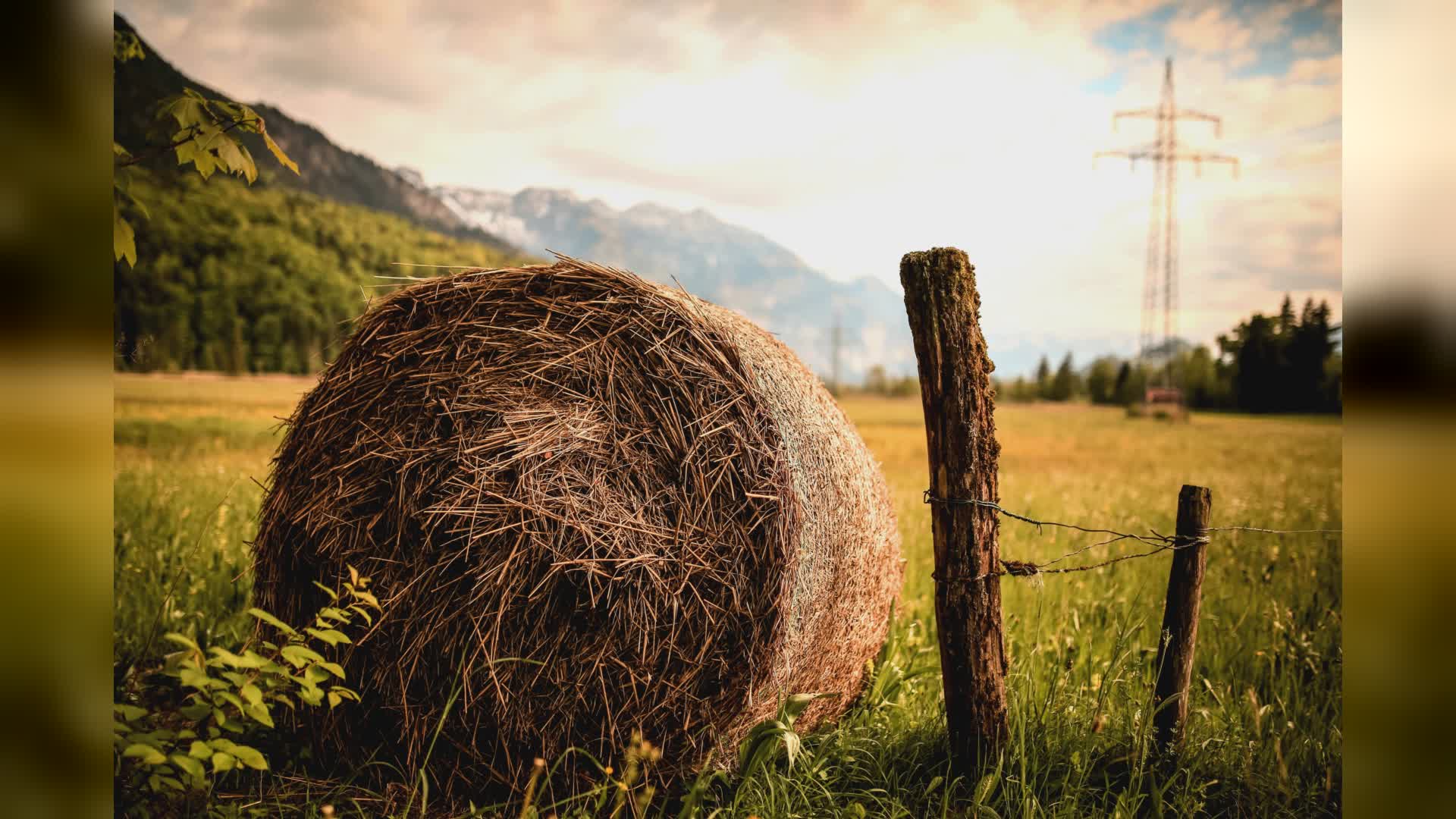 Uscio, rimane schiacciato da balla di fieno: grave camionista di 55 anni