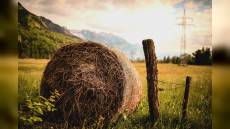 Uscio, rimane schiacciato da balla di fieno: grave camionista di 55 anni