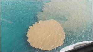 Genova, sversamento a Quinto: revocato l'ultimo divieto di balneazione. La Procura chiede consulenza su depuratore a un esperto