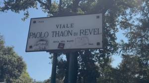 Genova, rivoluzione in viale Thaon de Revel: addio a 15 pini secolari