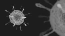 Morbillo, Bassetti: "Italia al secondo posto in Europa per numero di casi"