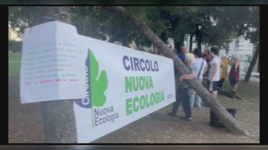 Pini di Brignole, completato l'abbattimento dei 15 alberi. La protesta non si ferma