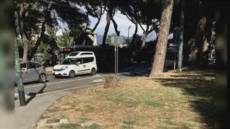 Genova e il taglio dei pini a Brignole, Aster: "Fiducia nei nostri professionisti"