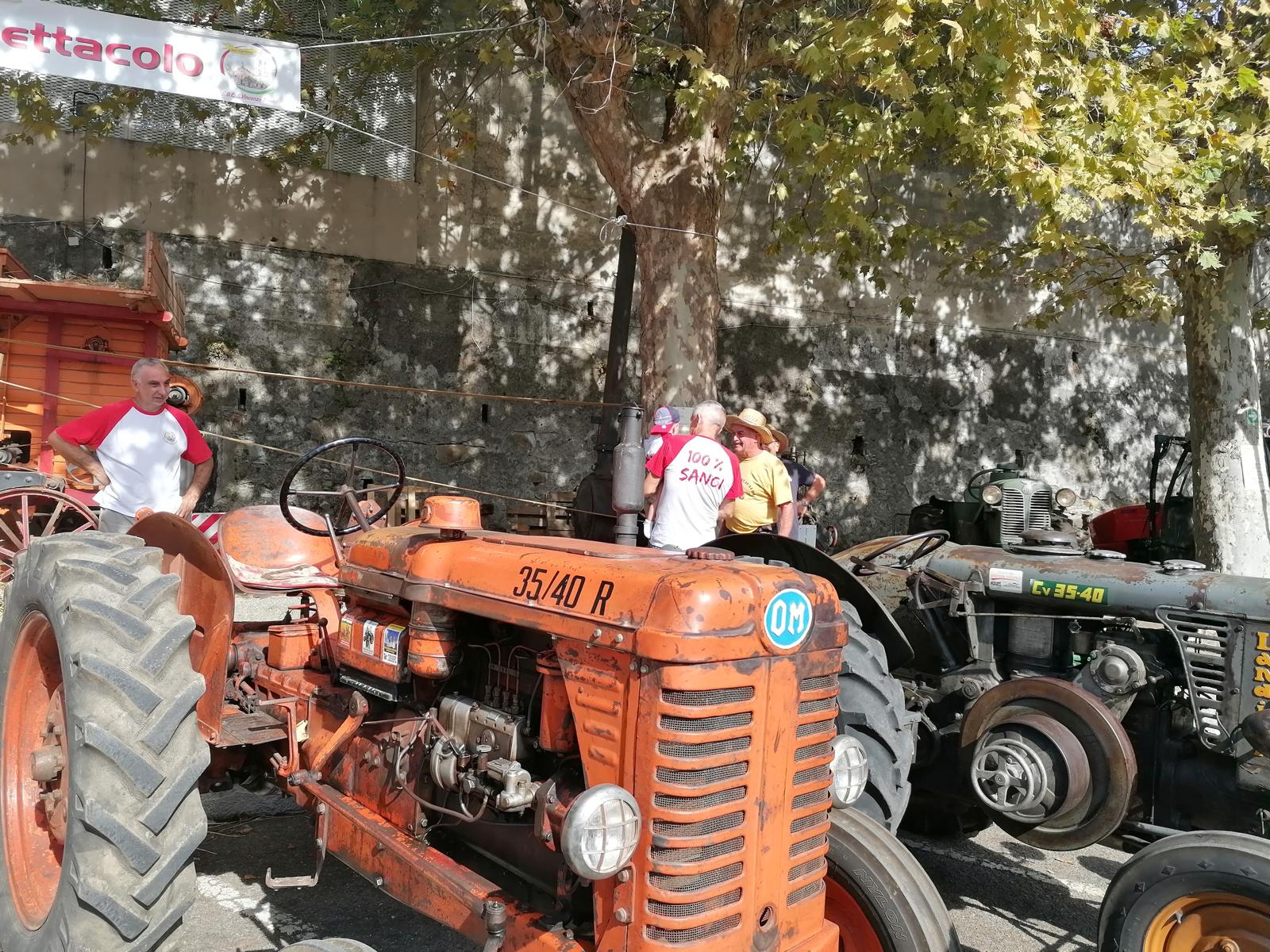 San Cipriano: da venerdì a domenica la Festa dei Genovesi con la fiera del bestiame 