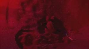 Laigueglia, altre cinque tartarughine Caretta caretta emergono dalla sabbia (VIDEO)