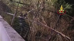 Genova, incendio nella notte a Voltri: in fiamme un canneto