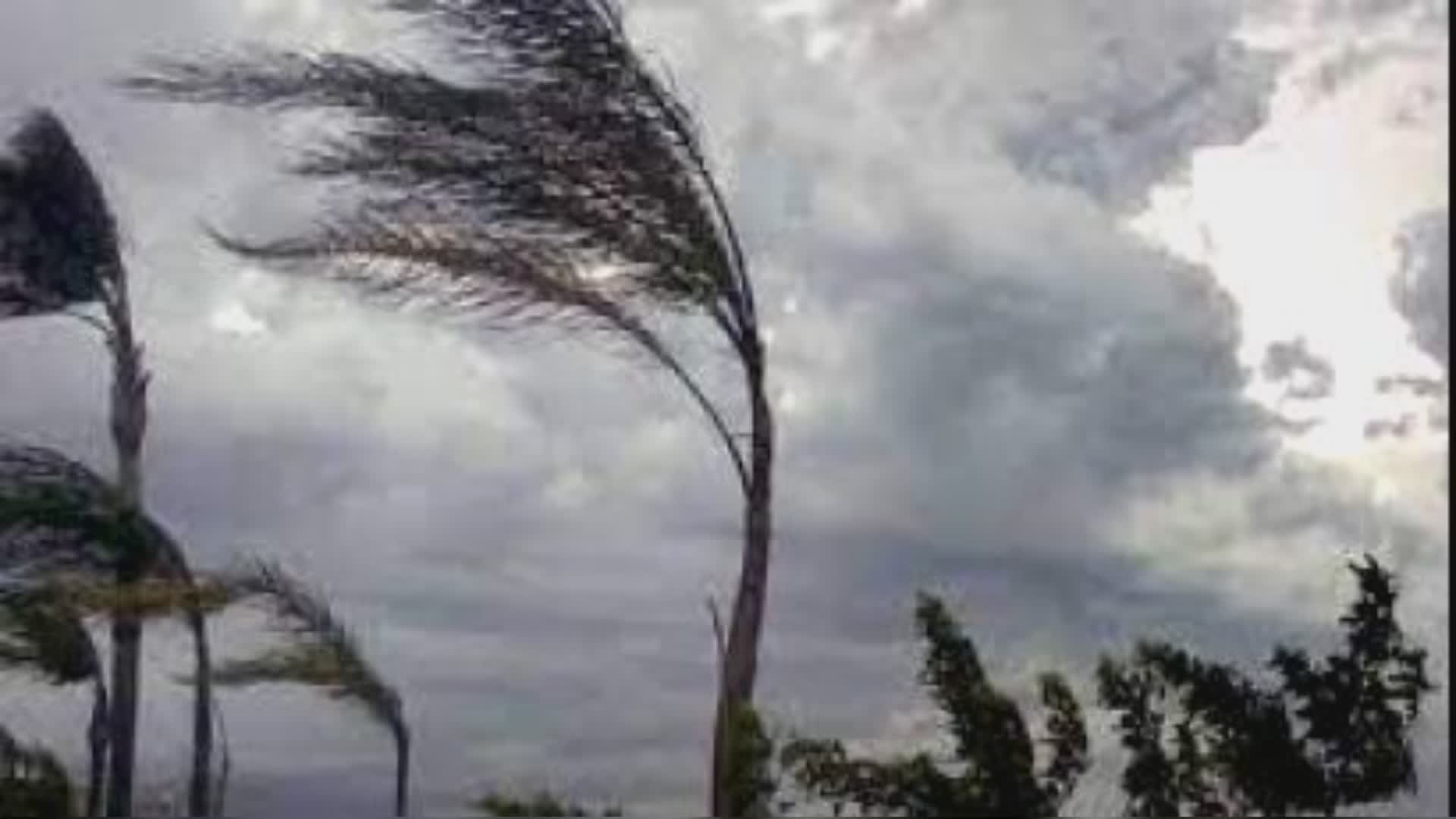 Liguria, maltempo: allerta per vento forte fino a 100 km/h su centro e levante