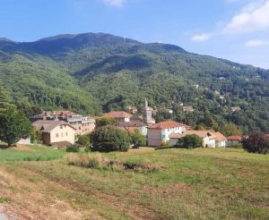 Savignone: il ritorno della castagnata dei Fieschi, la più antica di Vallescrivia 