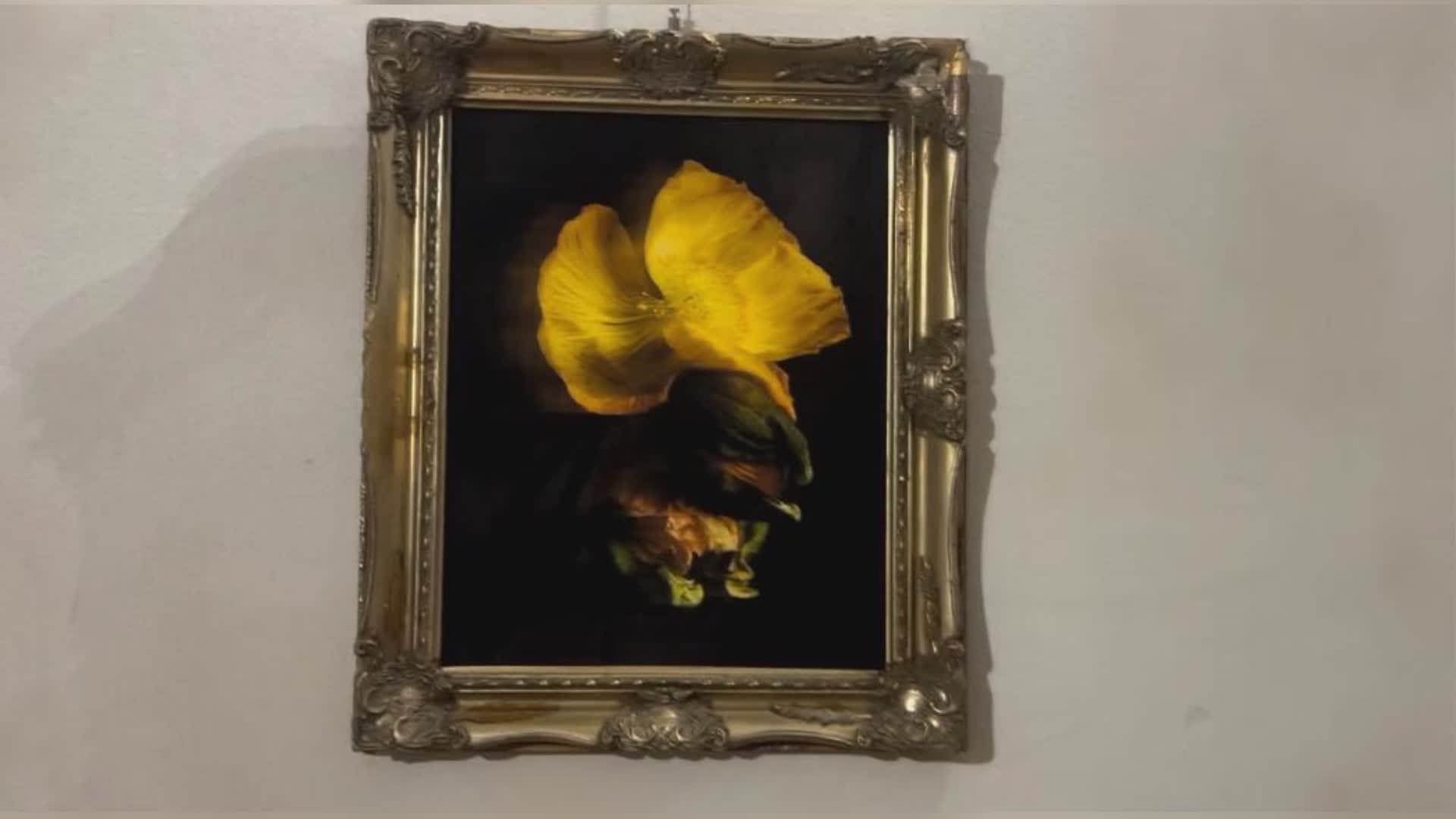 Genova, “Fiori rubati”: la mostra fotografica di Matteo Carassale a Primo Piano di Palazzo Grillo