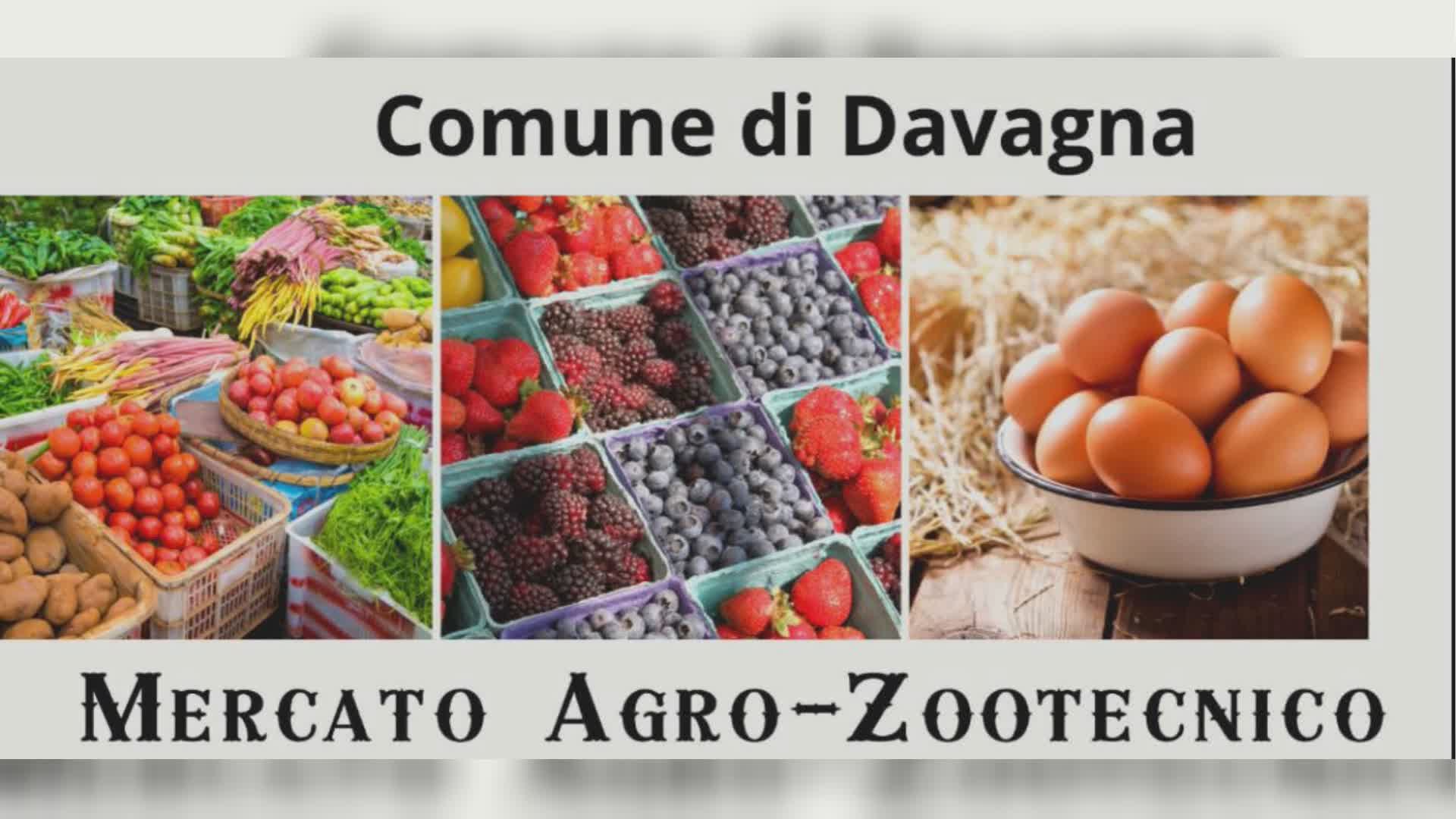 Davagna, 1° Mercatino Agro Zootecnico: animali da cortile e prodotti a Km zero