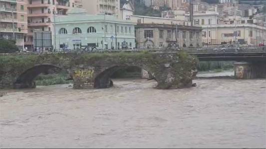 Maltempo, il video del Bisagno in piena: trasporta grossi tronchi d'albero e sterpaglie