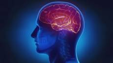 Genova, screening gratuito di Asl3 per la prevenzione dell'ictus: ecco come prenotarsi