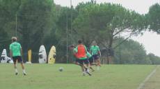 Sampdoria, l'attacco stenta in casa: la spinta può arrivare da Pedrola