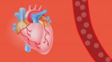 Sanità, Domenico Palombo: "La Liguria al primo posto in Italia per la rete cardiovascolare"