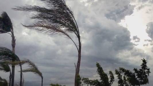 Maltempo: Imperia, vento forte, alberi abbattuti e disagi in tutta la provincia