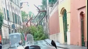 Maltempo, albero crollato in via Capolungo: disagi al traffico di Nervi