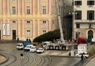 Natale a Genova, è arrivato l’Albero a De Ferrari: l’accensione in diretta esclusiva su Telenord l’8 dicembre