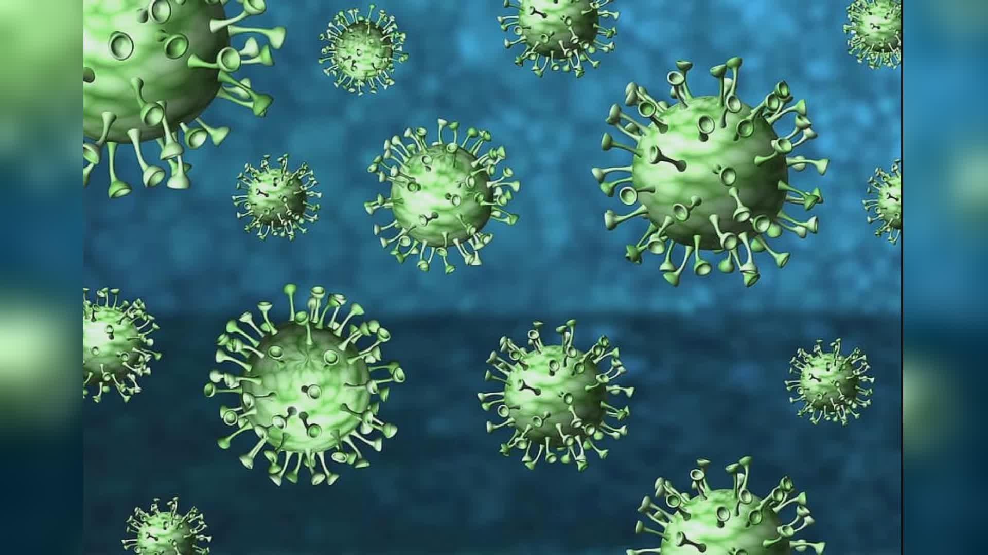 Virus in Congo: ministero Salute istituisce unità speciale sulle malattie infettive