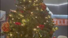 Genova, Babbo Natale di Scignoria al mercatino di San Nicola