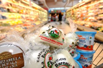 Economia circolare, in Puglia il latte diventa bioetanolo: un progetto all’avanguardia