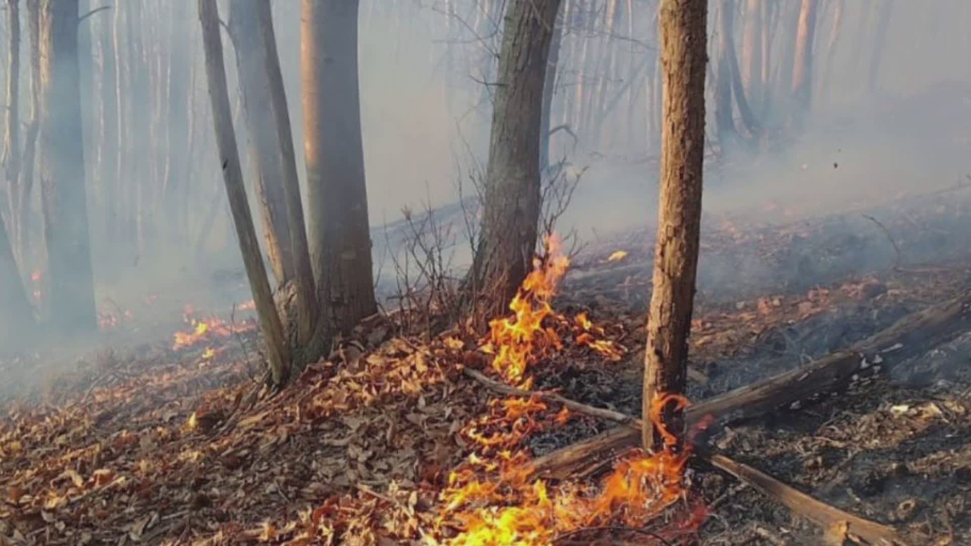 Incendio sulle alture di Varazze, le operazioni di spegnimento proseguono da terra