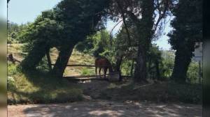 La Spezia: Val di Vara paradiso di ladri e abusivi: decine di furti e una casa di Brugnato trasformata in bivacco