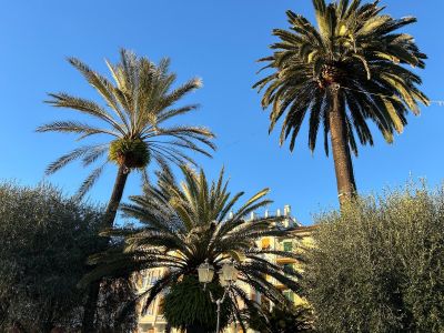 Meteo in Liguria: ombrello ancora stamattina, poi sole e temperature in rialzo 