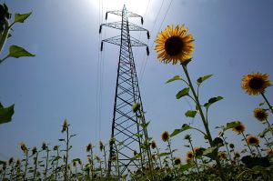 Energia, le bollette nel 2025 costeranno alle imprese 13,7 miliardi in più 