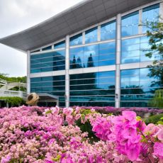 Plastica e innovazione, riciclare in sicurezza è possibile con la nuova scoperta di NTU