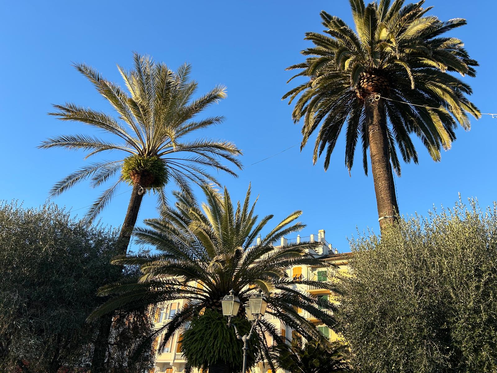 Liguria, tempo stabile e soleggiato: le previsioni per oggi e domani 