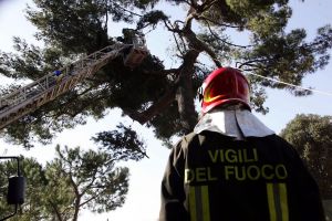 Liguria ostaggio del vento, cessato allarme: paura per un incendio a Voltri