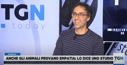 Empatia e memoria emozionale, Papaleo spiega le scoperte dell’IIT a Tgn Today