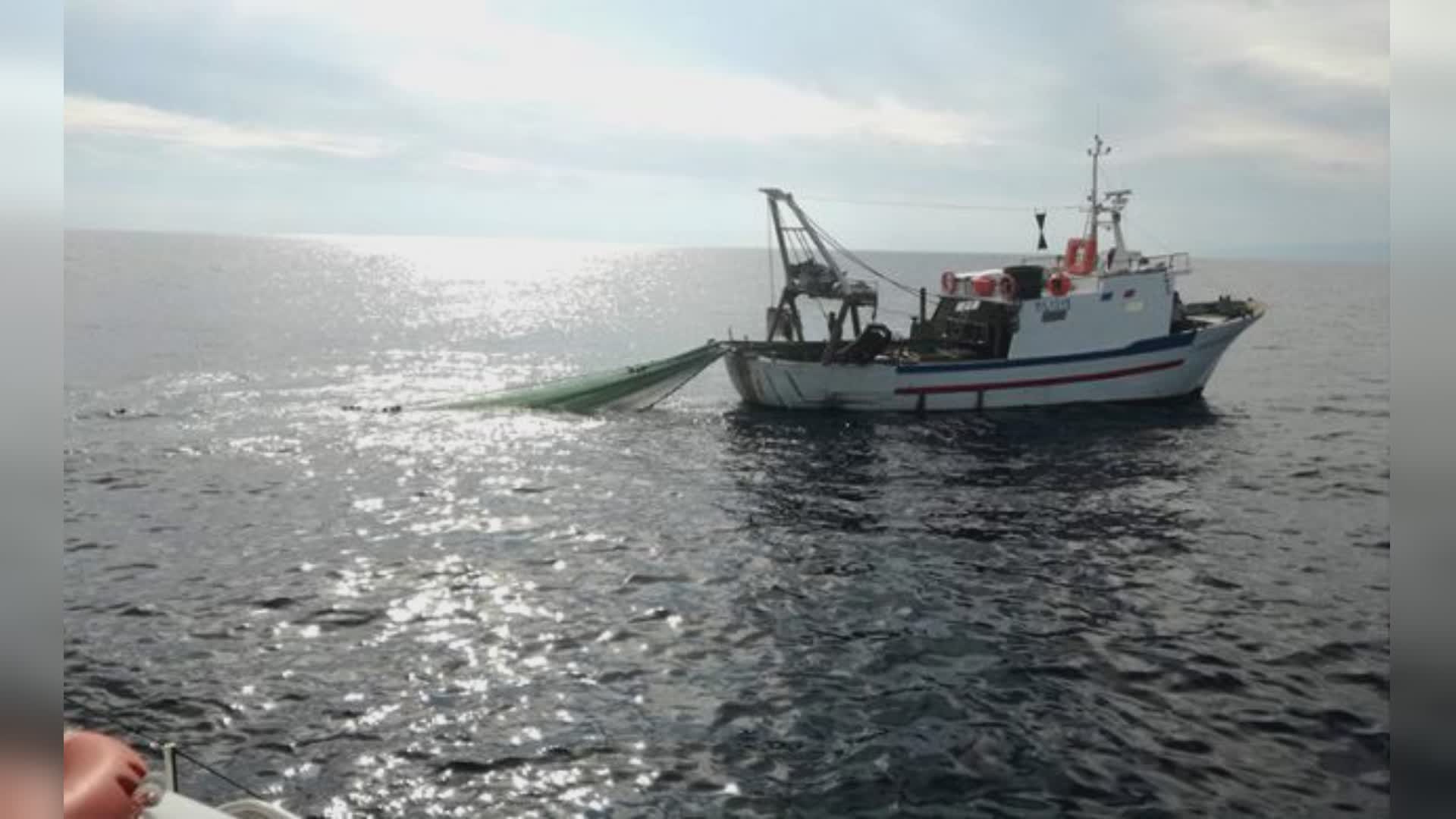 Liguria: pesca e acquacoltura, Regione stanzia 160mila euro per assistenza tecnica al comparto