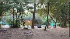 Genova, nel 2024 investiti 500mila euro per migliorare le area sportive all'aperto