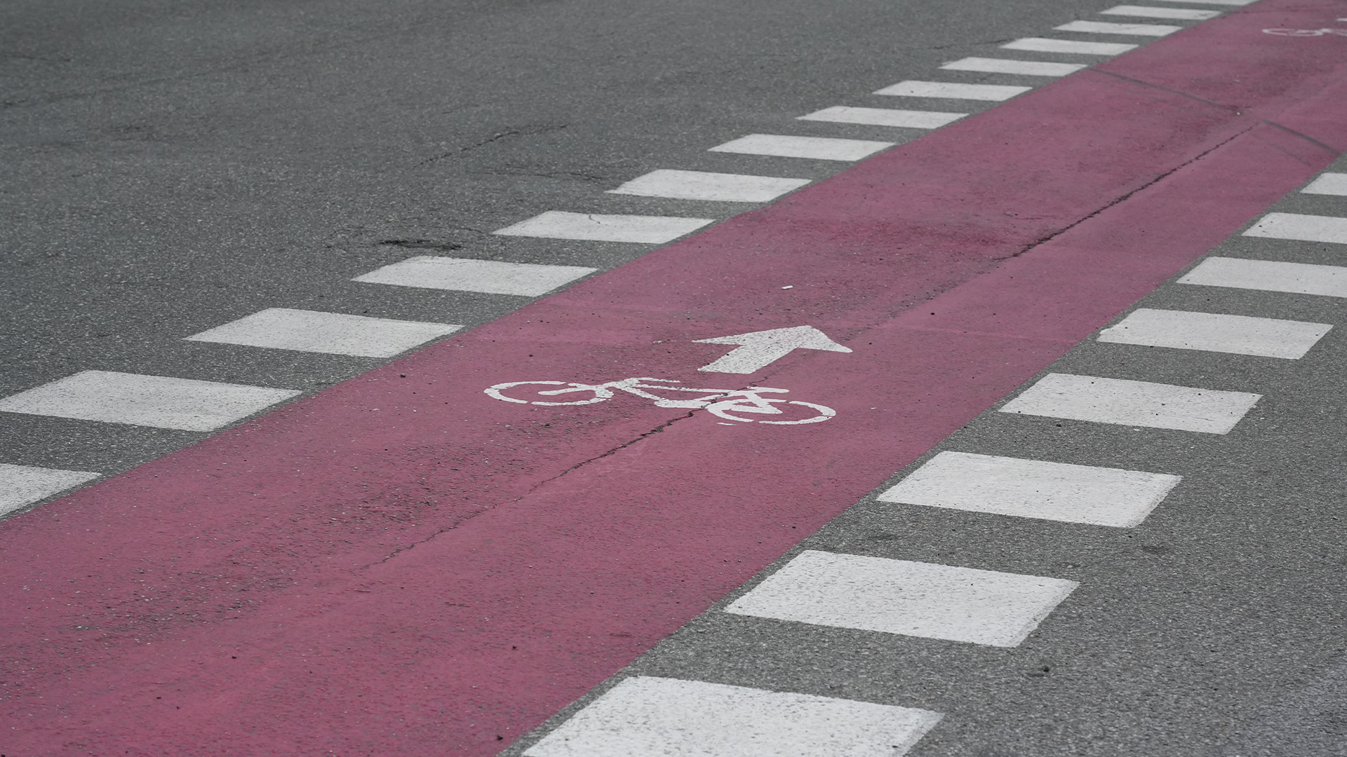 Genova, il progetto "Adotta una ciclabile" arriva in città: torna a splendere l'«anello di Dinegro»