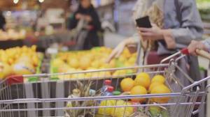 Giornata contro spreco alimentare: ogni anno Genova butta via 10mila tonnellate di cibo