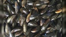 La Spezia, turismo: alla Bit di Milano castelli, Palio e 'muscoli'