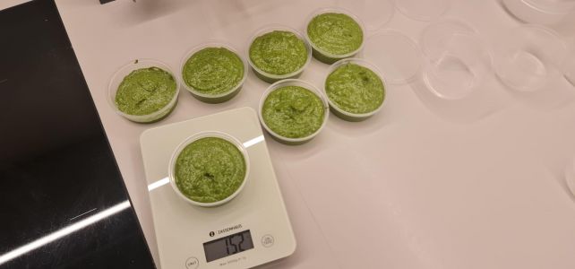I velocisti dello sci azzurro non vincono, gli ex campioni conquistano la cucina con il pesto