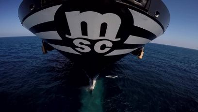 MSC potenzia i servizi transatlantici, collegamenti più rapidi tra Genova e New York
